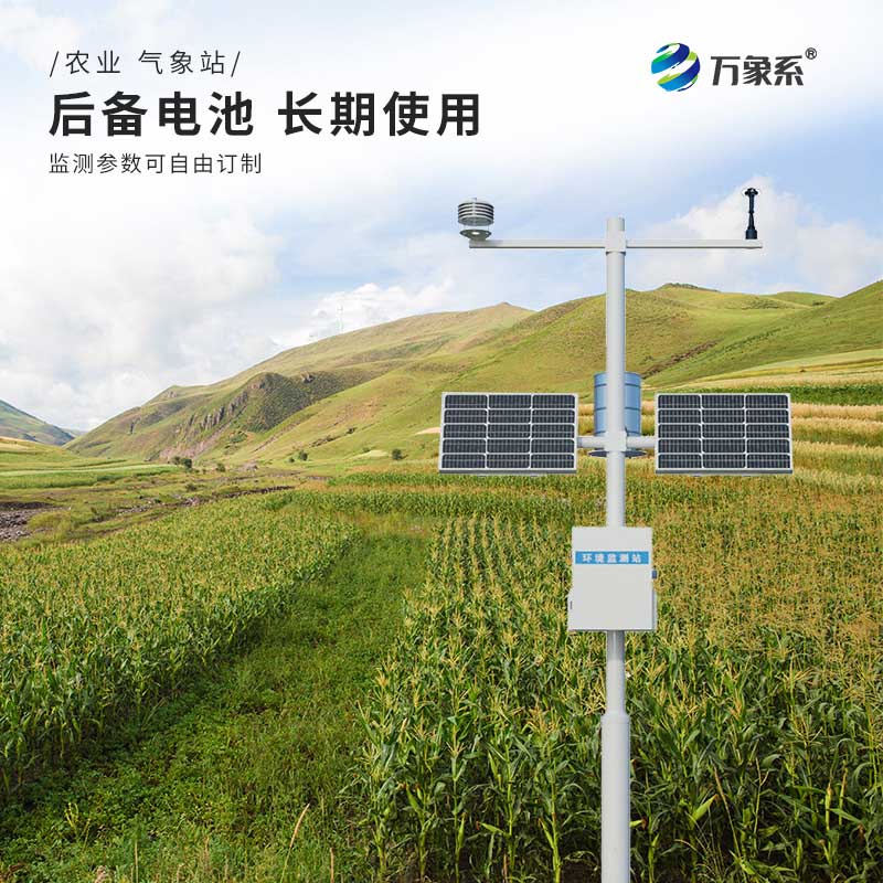 自動(dòng)十要素氣象站